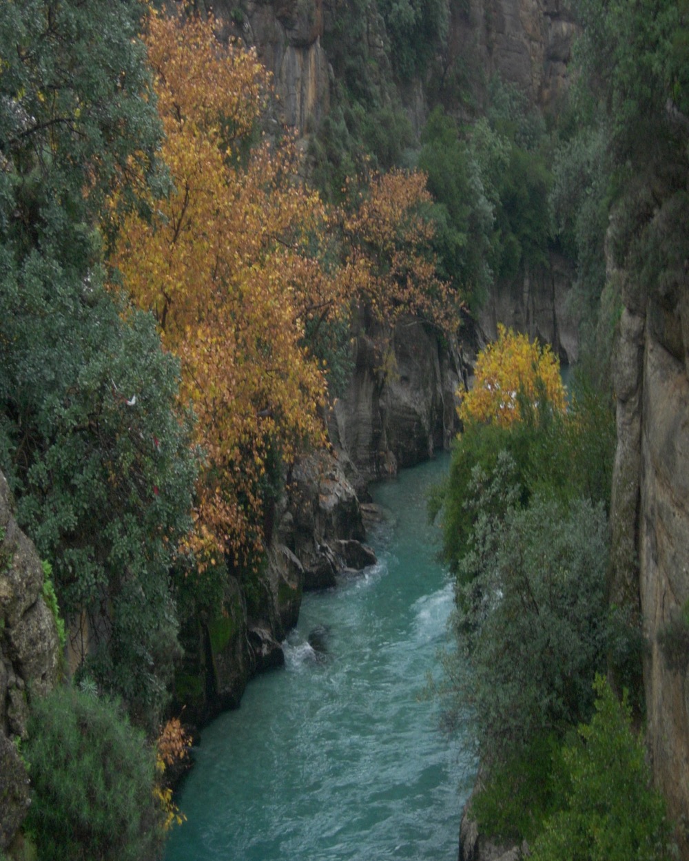 Köprülü Kanyon rafting